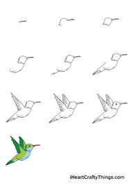 How to draw a hummingbird draw an oval at a slight angle. Hummingbird Drawing How To Draw A Hummingbird Step By Step
