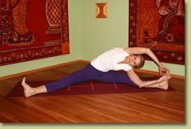 Myyoga By Petra B Rothenaicher Parivrtta Janu Sirsasana