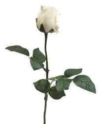 Try real touch flowers for the beauty inspired by nature and the benefits of hassle free faux flowers. Off White Real Touch Rose Open Bud Gl12723 Gl12723 Silkflora Artificial Flowers