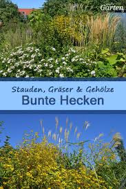 Bunte Hecke Mit Stauden Grasern Und Geholzen Stauden Naturgarten Hecke