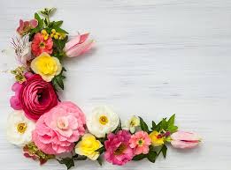 Jilbab cantik merintih sakit dimasukin kontol. Hd Wallpaper Flowers Pink Beautiful Composition Frame Floral Wallpaper Flare