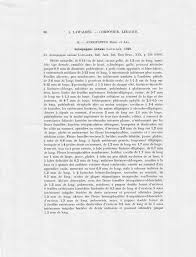 Image result for Porphyrostemma grantii
