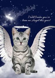 Gray Tabby Cat Angel With Halo And Wings Pet Lover Christmas Card Ad Affiliate Angel Halo Cat Gray Grey Tabby Cats Cute Cat Wallpaper Tabby Cat