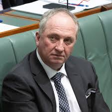 Barnaby Joyce vows to wind back 'lunatic crusade' of net zero with private  member's bill