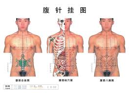 us 15 99 abdominal acupuncture point wall chart real person picture abdominal hologram abdominal meridian points and abdominal bakuo in massage