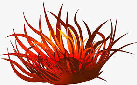 Red Cartoon Seaweed Cartoon Clip Art Ocean Plants Sign Art | # seaweed png & psd images. pinterest