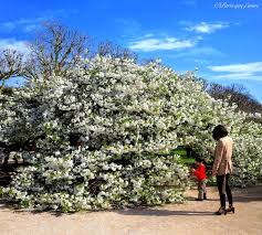 Jardin Des Plantes 75005 Paris Paris Visite Plante Jardin Museum National D Histoire Naturelle