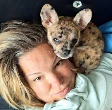 Babysitting a tiny, timid, and adorable chi