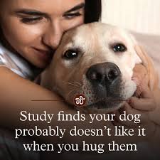 We know this isn't great news (don't shoot the messenger), but it turns out  your loving embrace might be seriously stressing your pup out.  https://the-wildest.visitlink.me/VJWtf_