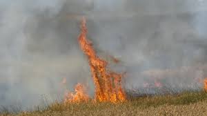 Maybe you would like to learn more about one of these? Bov9pyhpyz36vm