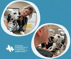 Animal Emergency Hospital Of North Texas Home Facebook