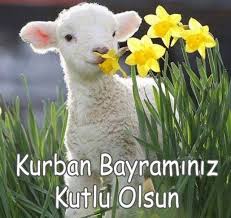 Heyecan ve hasretle beklenen kurban bayramı geldi, güzel geldi. 2020 Kurban Bayrami Mesajlari Sevdiklerinize Kisa Uzun Ve Resimli Kurban Bayrami Mesajlari Gonderin Iyi Bayramlar Gundem Haberleri