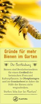 Warum Bienen Im Garten Sinnvoll Sind Bienenfreundlicher Garten Bienen Und Garten