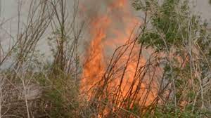 Este viento nace en el anticiclón del océano pacífico, por lo que inicia siendo un viento frío y húmedo. Viento Zonda Youtube