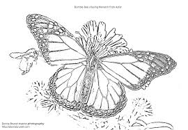 Mandala designs are believed to be therapeutic and calming to color. Butterfly Coloring Pages For Adults Only Coloring Pages Coloring Home