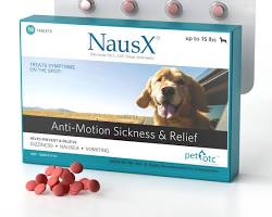 dog motion sickness medicineの画像