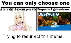Follow me for meme from r/goodanimemes. You Can Only Choose One A Hot Catgirl Becomes Your Wife Despacito 2 Gets Released Despacito 2 Anime Meme On Astrologymemes Com