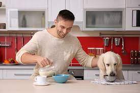 Dogs and humans have very different digestive tracts. Can Dogs Eat Raspberries Are Raspberries Good For Dogs