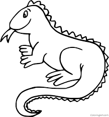 Check spelling or type a new query. Iguana Coloring Pages Coloringall