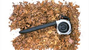 If the problem was the spark plug, then the blower should start properly. How To Choose And Use A Leaf Blower This Old House