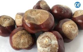10 Utilisations Des Marrons Dont Vous Allez Forcement Tomber Amoureux En 2020 Noix De Lavage Nettoyer La Cuisine Dentifrice