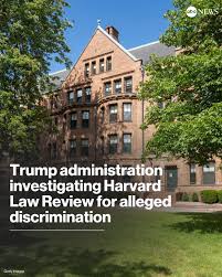 ABC News | Cobra Kai stars Tanner Buchanan and Mary Mouser are getting  married. The two stars of the hit Netflix show, Cobra Kai announced  the... | Instagram