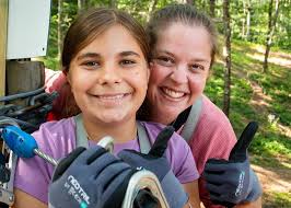 Bear helps itself to 60 cupcakes from Connecticut bakery, scares employees 