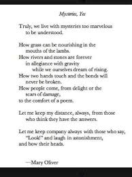 Pin By Michelle Haley On Amazing Mary Oliver Poems Poetic Words Poetry Quotes