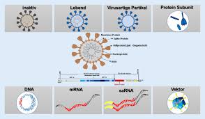 Scopri ricette, idee per la casa, consigli di stile e altre idee da provare. Die Corona Pandemie Und Multiple Sklerose Impfungen Und Deren Implikationen Fur Patienten Teil 2 Impfstofftechnologien Springerlink