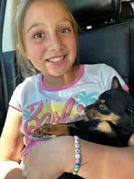 🎈🆘 We are in urgent need of a foster for this expectant mother dog who is  currently living