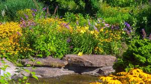 See The Source Image Butterfly Garden Design Butterfly Garden Plants Butterfly Garden