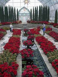 Pin By Beth On Gardens Indoor Garden Backyard Sheds Beautiful Places