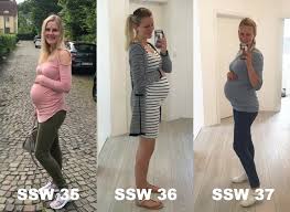 Schwangerschaftsupdate Ssw 29 37 3 Trimester Kdsecret