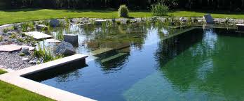 This is a stunning gallery of the best pools. All About Natural Swimming Pools Ecohome