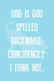 These 23 religious dog quotes are about the authors' relationship between them and their dogs, heaven and god. Dog Is God Spelled Backwards Coincidence I Think Not Weeklyplayquote What Do You Think Cute Dog Quote Bes Cute Dog Quotes Best Dog Quotes Play Quotes