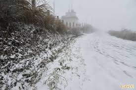 The site owner hides the web page description. 1vatmgfpcotnam