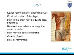 In human anatomy the groin the adjective is inguinal as in inguinal canal is the junctional area also known as the inguinal region between the abdomen and muscles that move the thigh groin muscles the hip joint like the shoulder joint is a multiaxial synovial joint that flexes extends adducts abducts. Anatomy Of Groin