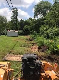Grinding is much more efficient than stump removal, however, it does leave the tree's roots behind. Nestor S Stump Grinding Tree Services Home Facebook