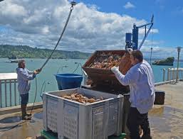 See reviews and photos of fishing charters & tours in eureka, california on tripadvisor. Commercial Crab Season Delayed Until New Year S Eve Lost Coast Outpost Humboldt County News