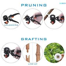 5.5 digit dual display, benchtop dmm. Tombetter Now In Stock Household Garden Grafting Tool Set Fruit Tree Professional Pruning Shears Cutting Tools Kit Dmm Shopee Thailand