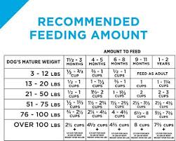 Top 10 Best Puppy Foods For 2020 Dog Food Advisor