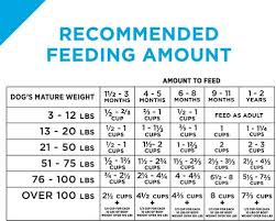 Take your dog's lifestyle into account Top 10 Best Puppy Foods For 2021 Dog Food Advisor