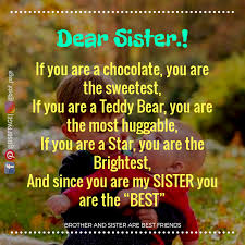 Birthday Prayer For A Brother You Are My Sister And You Are The Best Brother Sister Love Quotes Sister Birthday Quotes Siblings Funny Quotes
