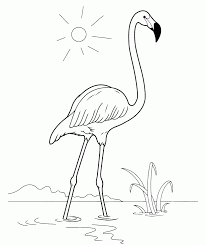 Ausmalbilder Tiere Flamingo Ausmalbilder Ausmalen Ausmalbilder Tiere