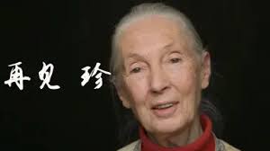 Jane Larkin-哔哩哔哩_Bilibili