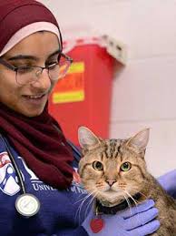 Ellen Puré, AB, PhD