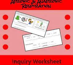 This Worksheet Asks Students To Compare And Contrast The Equations For Aerobic And Anaerobic Respiration S Anaerobic Respiration Worksheets Inquiry Activities