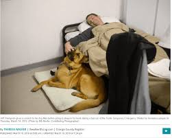 Some of our animals may be in a foster home. Addressing Homelessness Tustin Ca