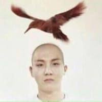 The Accidental Alphas by Penelope Peters