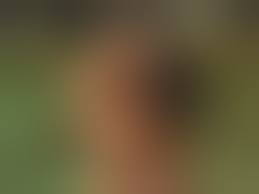 Amazon.com: Naked and Afraid of Love - Season 1 : Candice Liang, Stefan  D'angelica, Cassalei Jackson, Chelsea Bellini, Ben Coleman, Rachel Strohl,  Bennett Murphy, Crystal Bui, Michael Gara, Nelson Monroig, Britt Whitmire,